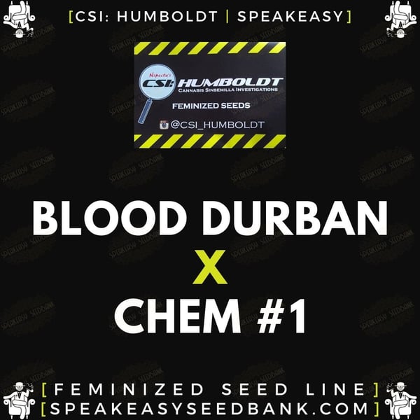 Speakeasy presents Blood Durban x Chem 1