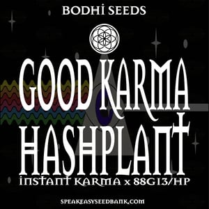 Bodhi Seeds presents Good Karma Hashplant