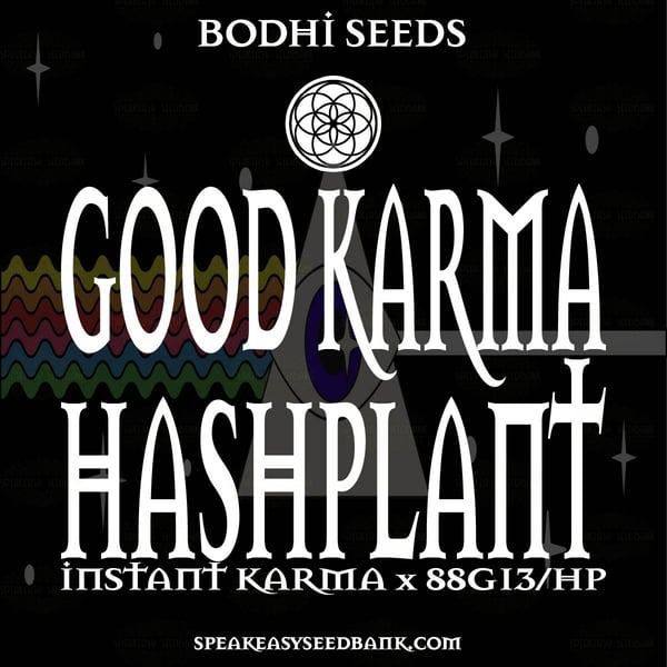 Bodhi Seeds presents Good Karma Hashplant