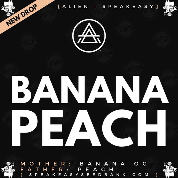 Speakeasy presents Banana Peach