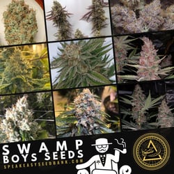 Speakeasy Seed Bank presents Swamp Boys Seeds