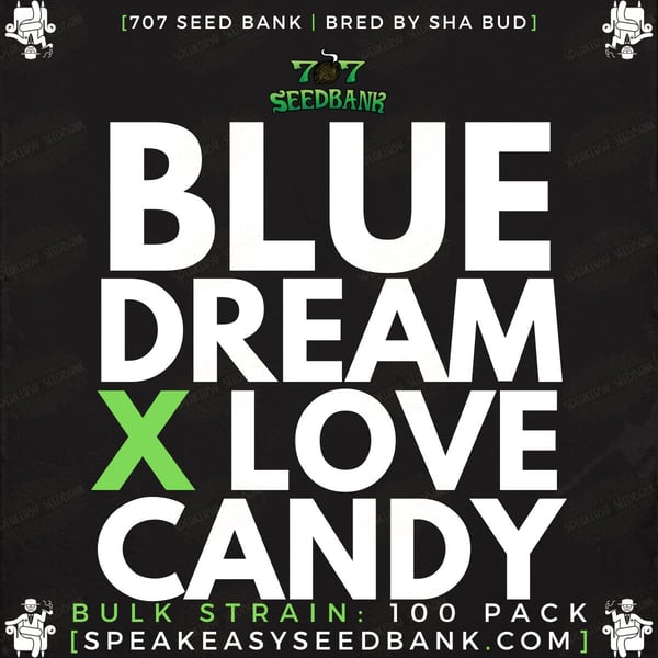 Blue Dream x Love Candy by 707 Seedbank