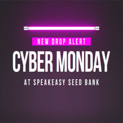 New Cyber Monday Drops Are Live