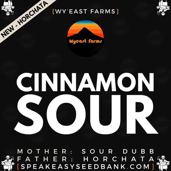 Speakeasy presents Cinnamon Sour by Wy'east Farms