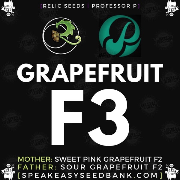 Speakeasy presents Grapefruit F3 by Relic Seeds