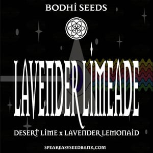 Bodhi Seeds presents Lavender Limeade