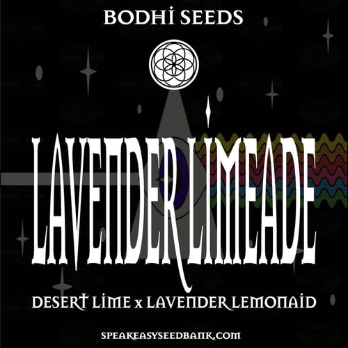 Lavender Limeade