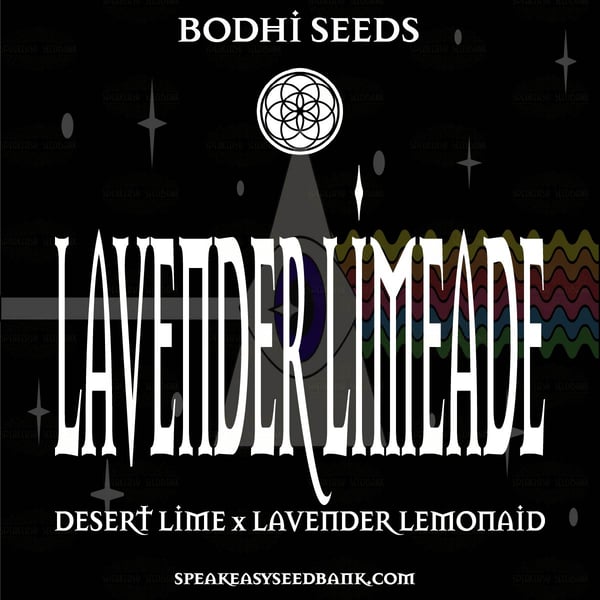 Bodhi Seeds presents Lavender Limeade