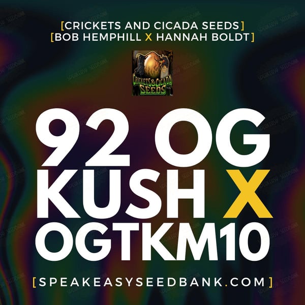 92 OG Kush x OGTKM10 by Crickets and Cicada Seeds