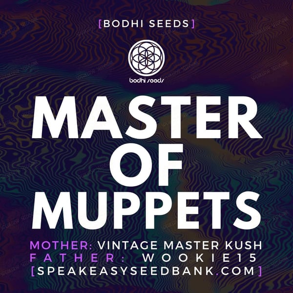 Master of Muppets by Bodhi Seeds