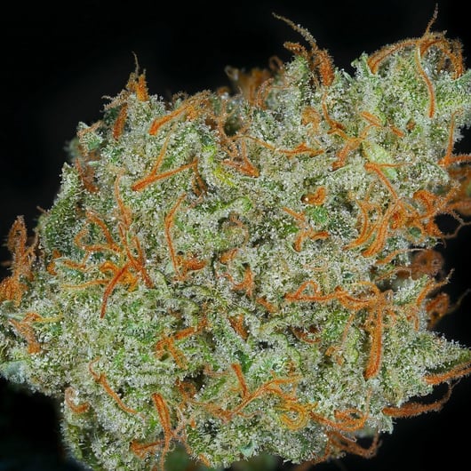 Speakeasy presents Supa Durban