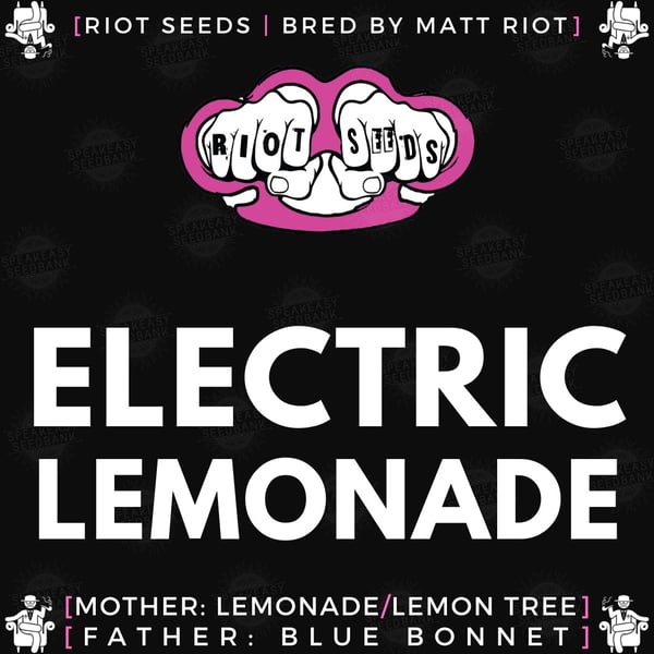 Riot Seed co seeds Electric Lemonade strain Lemon Tree x Blue