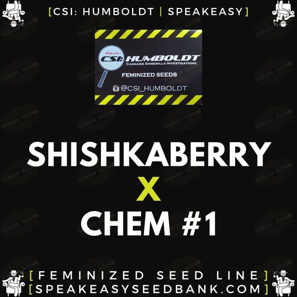 Speakeasy presents Shishkaberry x Chem 1