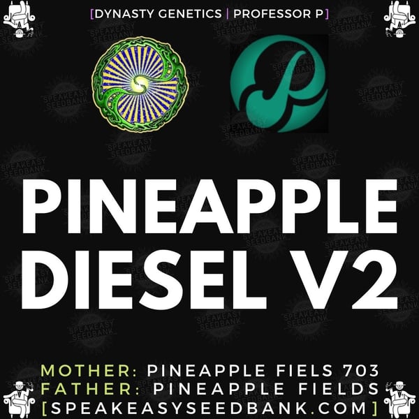 Speakeasy presents Pineapple Diesel version 2