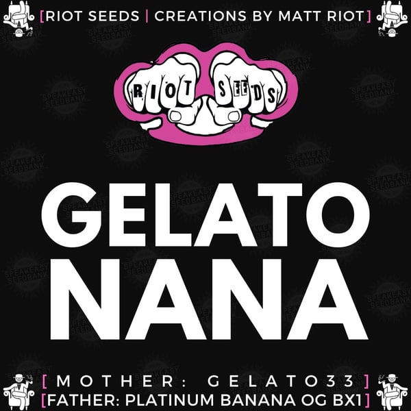 Speakeasy presents Gelatonana by Riot Seeds