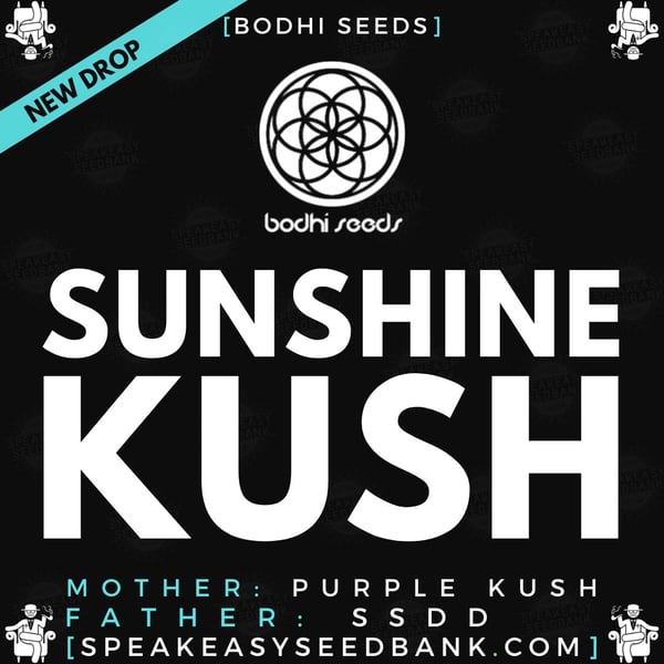 Speakeasy presents Sunshine Kush