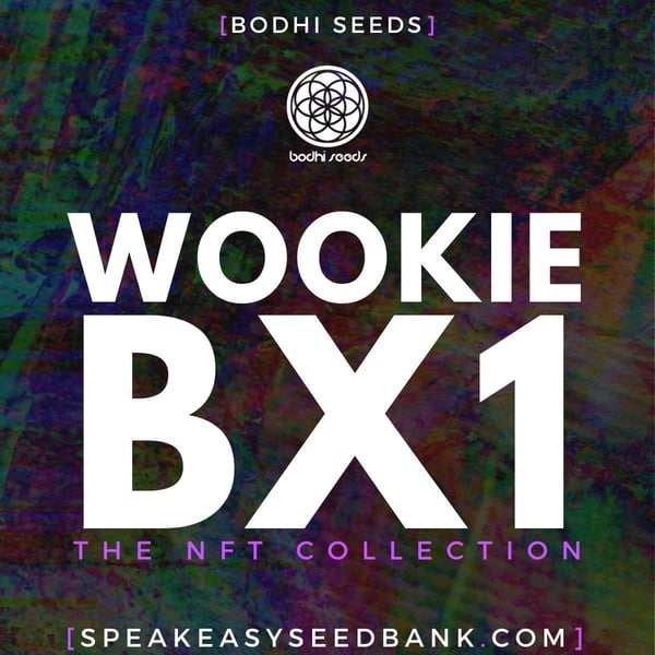 Wookie BX1 by Bodhi Seeds