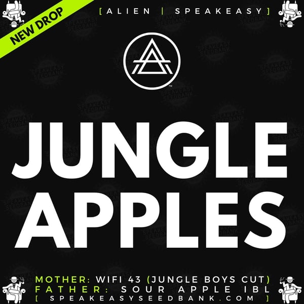 Jungle Apples Strain (Seeds) 🌴🍏 • LipSmacking Apple Profile