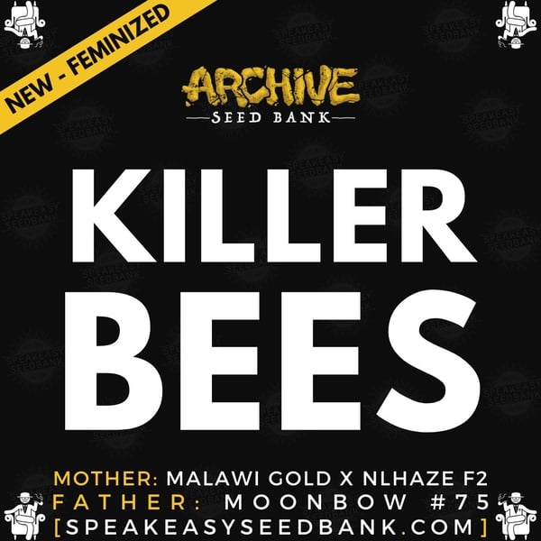 Speakeasy presents Killer Bees by Archive Seed Bank