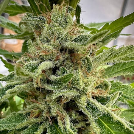 Strawberry Butter