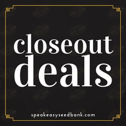 Closeout Deals | Speakeasy Collection