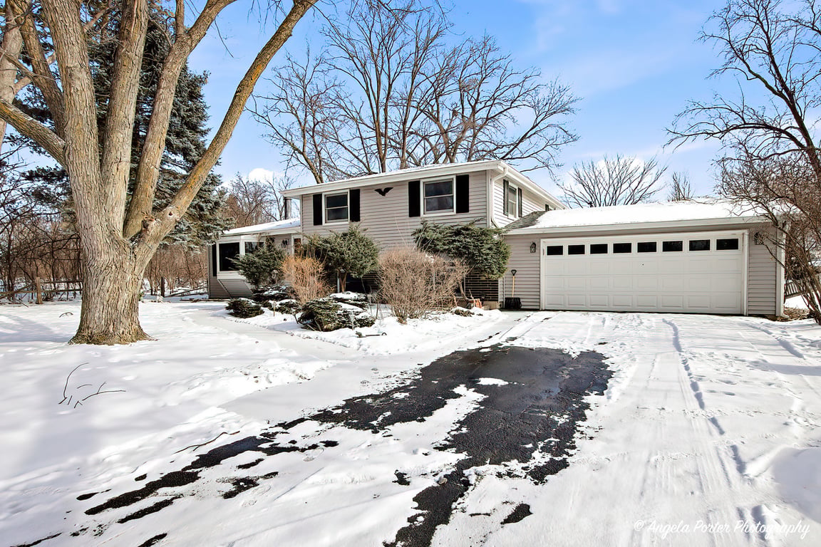 8 Rollins Road