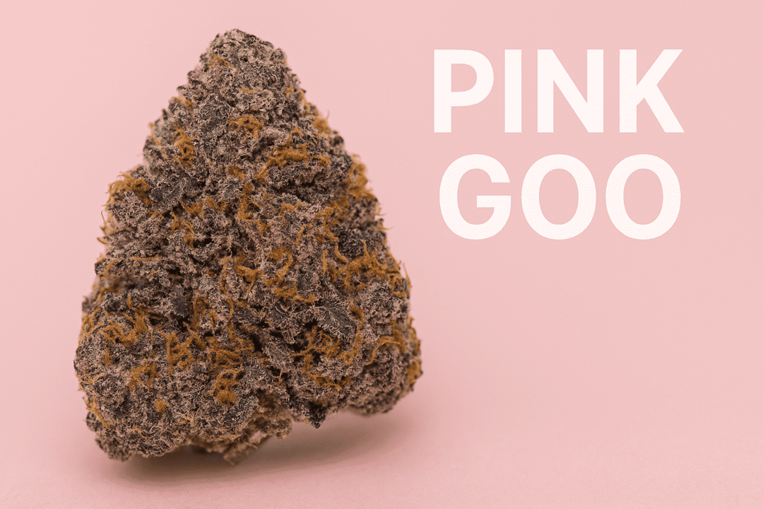 Pink Goo Strain