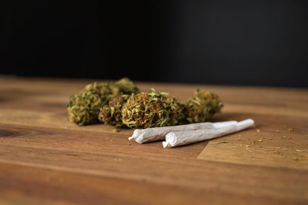 Marijuana cannabis joint in coffee shop Amsterdam with CBD weed buds.