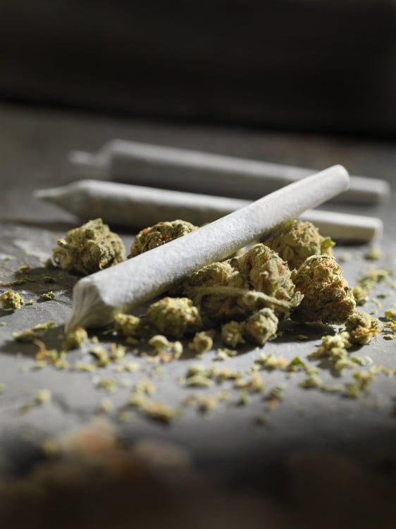 Pre-Rolled Marijuana Joints