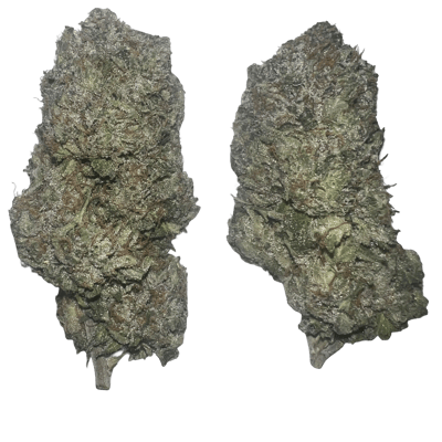 MK Ultra