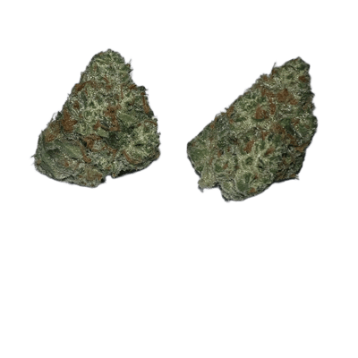 Strawberry Guava LSO Mediums