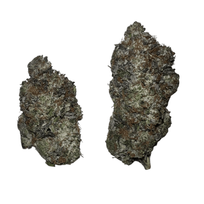 Sticky Ricky LSO AAAAA by Terpy Vibes