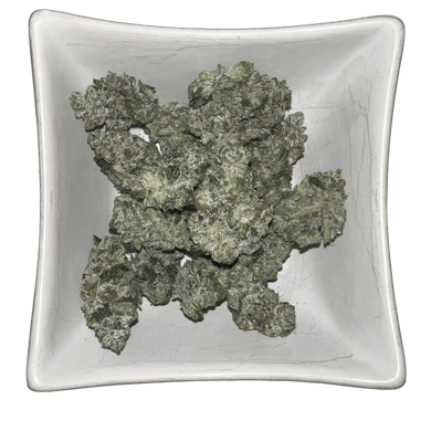 Roji OG LSO Mediums