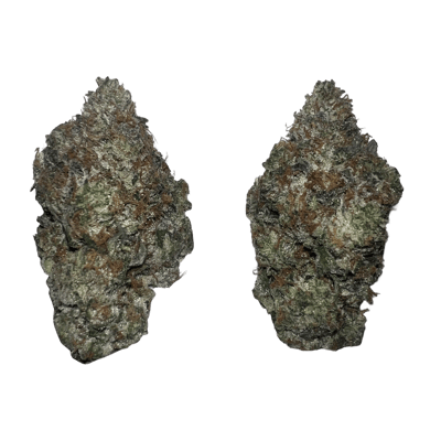 Gas Chamber LSO AAAAA by Terpy Vibes