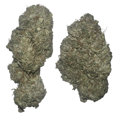 Platinum Pink