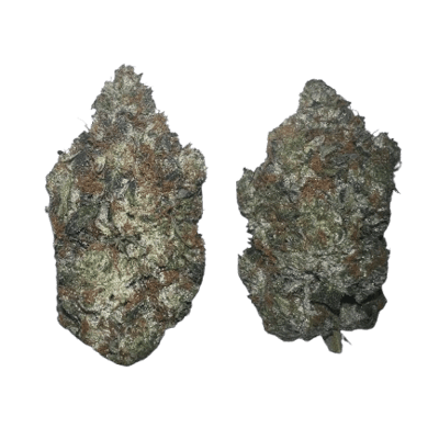 Candy Rockstar AAAAA LSO by Terpy Vibes
