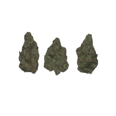 Sunshine Daydream LSO Mediums