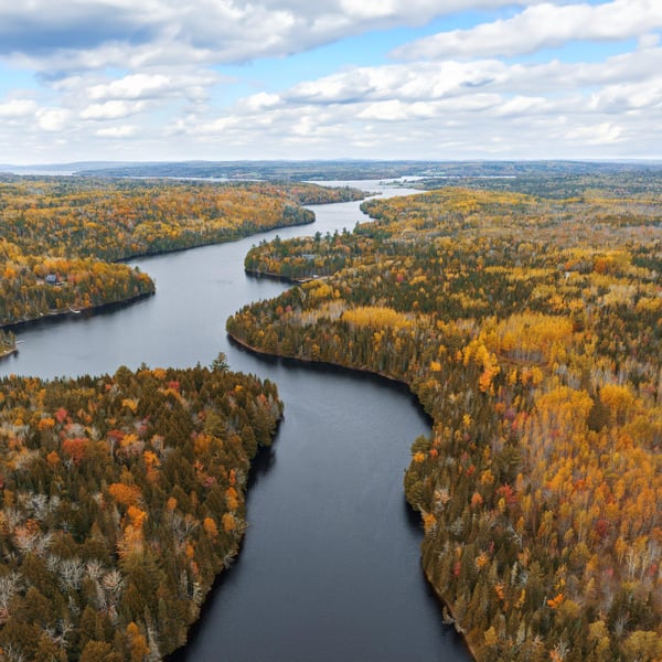 Aerial drone photograph over Saint John River in New Brunswick with fall colours on trees