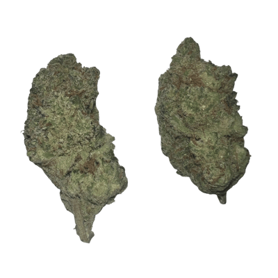Sunshine Daydream LSO Mediums