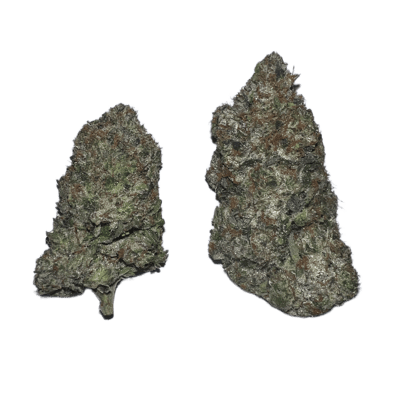Captain's Pink AAAAA LSO By Terpy Vibes