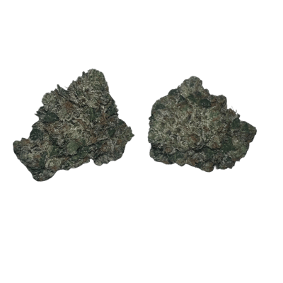 Black Tuna LSO Mediums