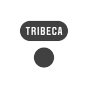 Tribeca Homes NSW logo