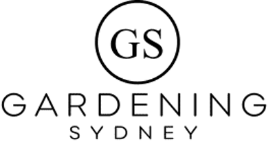 9 Landscaping Basics For A Stunning Outdoor Space