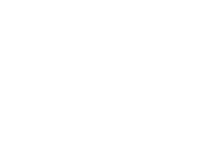 Domination Homes logo