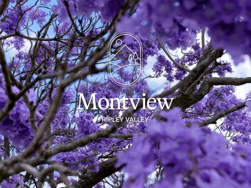 Montview Ripley Valley home design