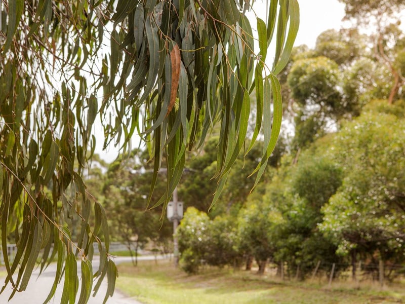 New land estate Carroll Lane Greenvale VIC 3059 Phone