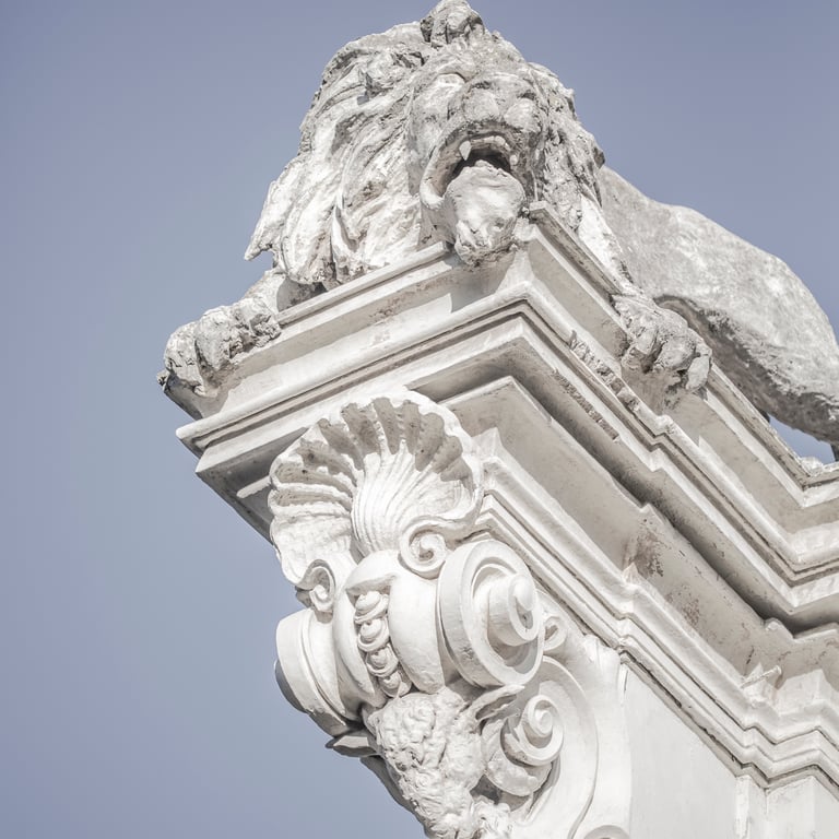 Rome Daydreaming photo 17