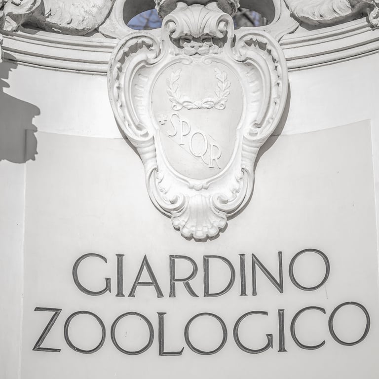 Rome Daydreaming photo 18