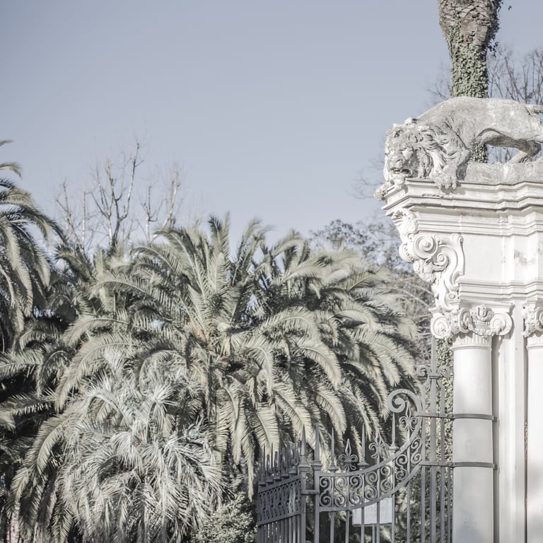 Rome Daydreaming photo 19