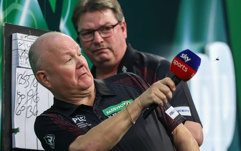 The Ally Pally wasp disrupts proceedings during the World Championship final